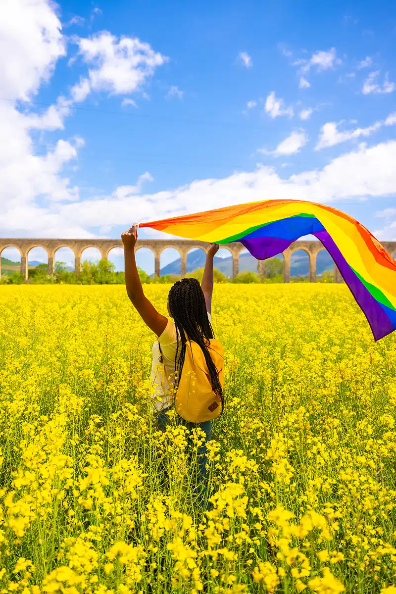 A black ethnic girl with braids holding the LGBT flag in a field of yellow flowers, pride day, lesbian free women concept