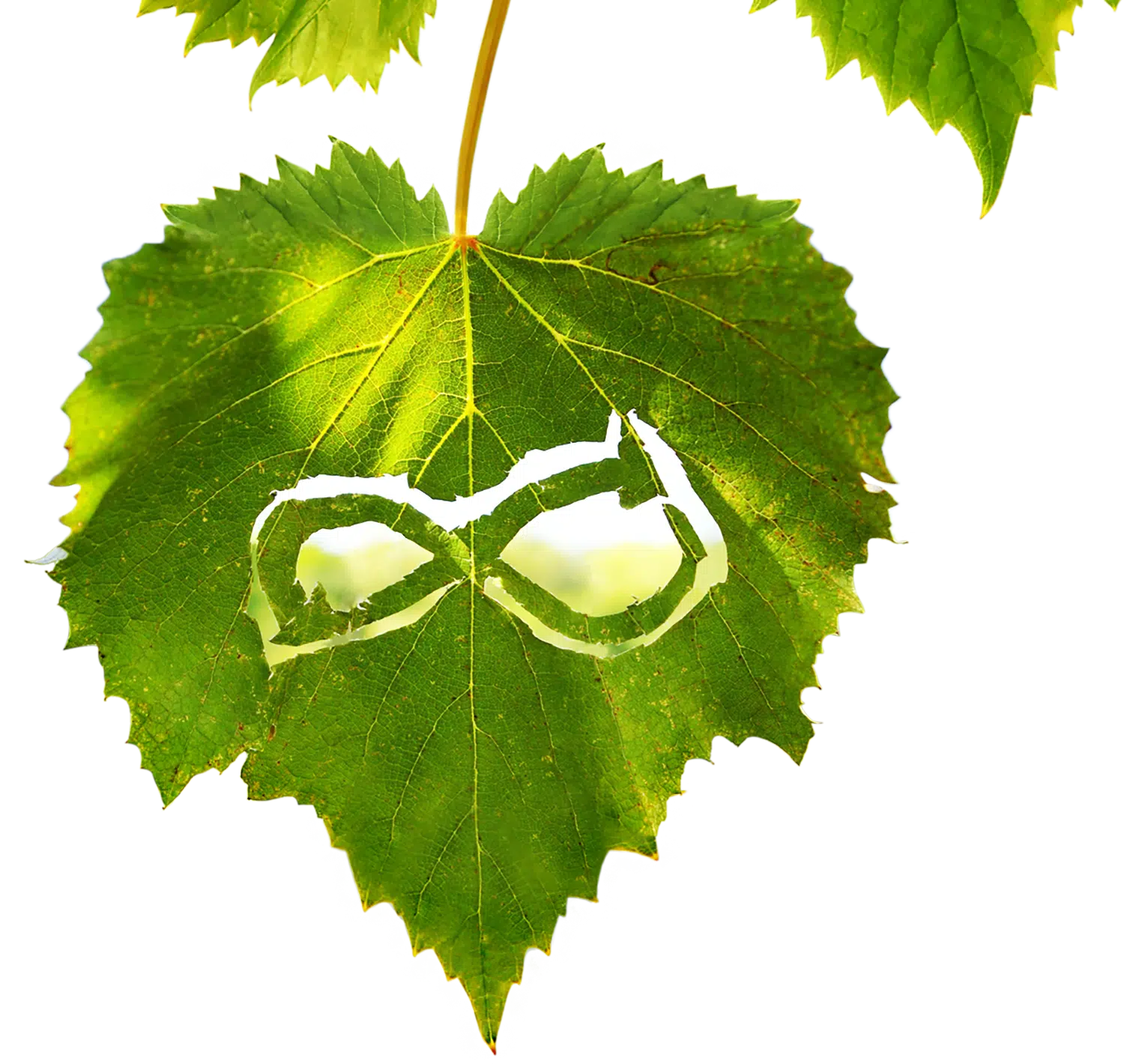 Nachhaltigkeitsbericht 2022_Titelbild_Blatt_2