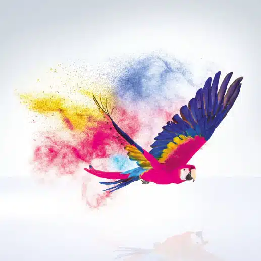 DEBAPRINT Bird Illustration of a brightly coloured bird, created with the CMYK colour model. The picture demonstrates the precision and colour brilliancy that can be achieved using this printing technology.